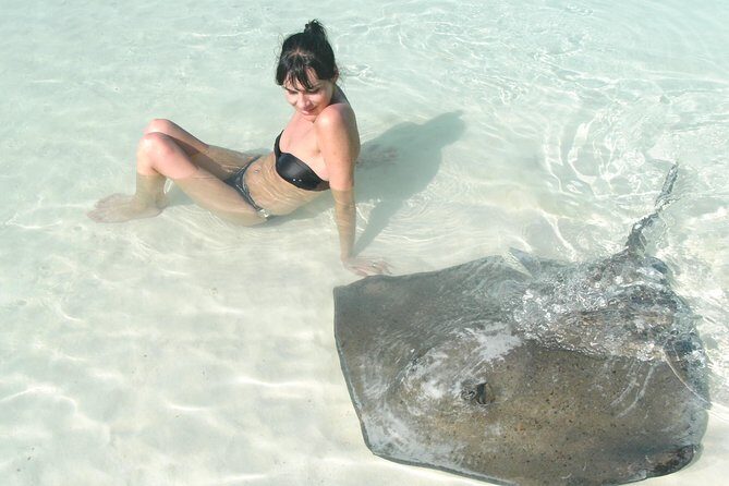 Contoy Island - Key points to know before you go