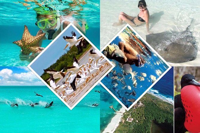 Contoy Island - Isla Contoy National Park: wildlife, calm rules, and the buffet view