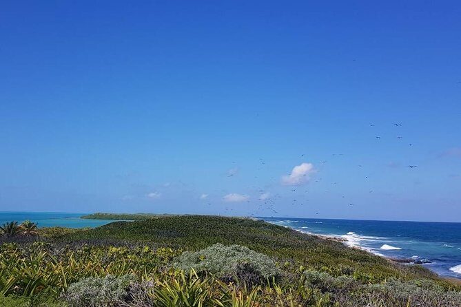 Contoy Island - Price and value: does $176 make sense for what you get?