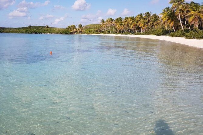 Contoy Island - Who this tour suits best (and who should reconsider)
