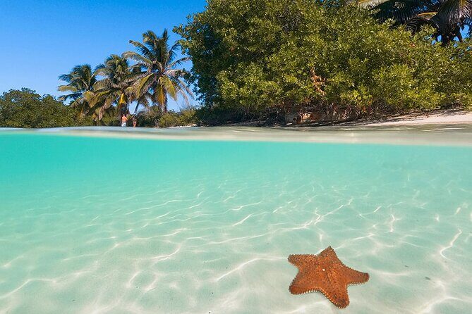Contoy Island Tour from Cancun and Isla Mujeres with Snorkeling - The 6-hour Contoy Island plan from Isla Mujeres