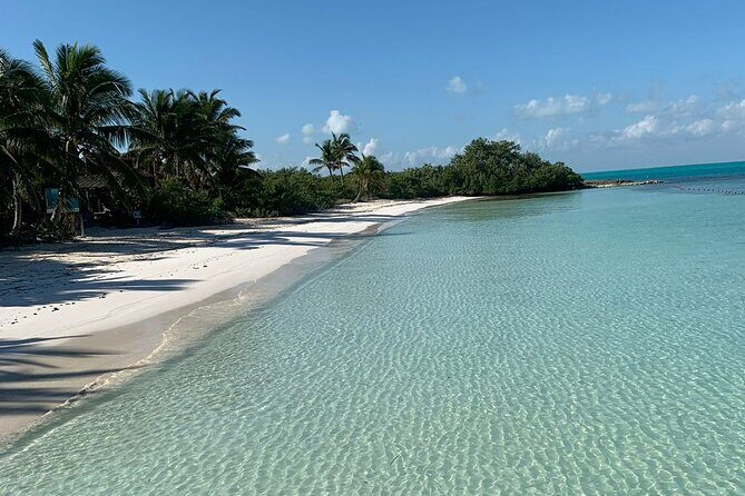 Contoy Island Tour from Cancun and Isla Mujeres with Snorkeling - Price and logistics: what $155.32 covers and what you should budget