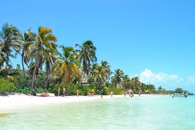 Contoy Island Tour from Playa del Carmen & Cancun - Isla Contoy and Isla Mujeres: the value of a two-island plan