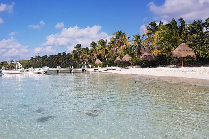 Contoy Island - Isla Mujeres for 1 hour: Playa Norte time before the crowd wave