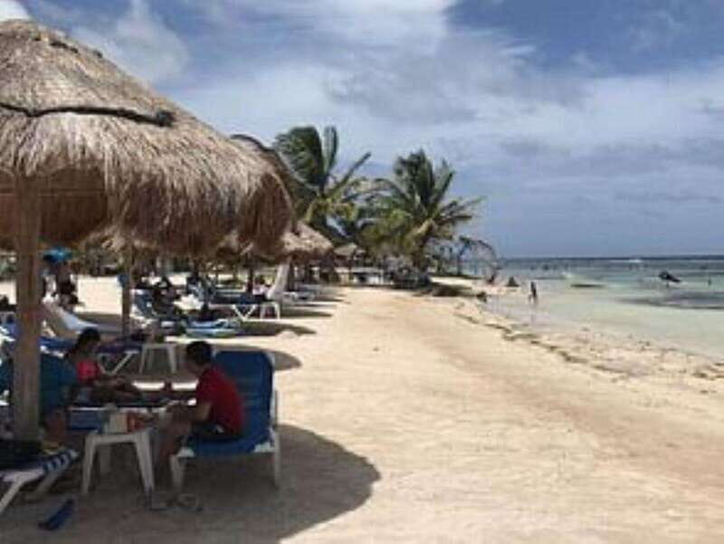 Costa Maya All Included Beach Break Experience - From the Cruise Port to the Beach: Short Transfer, Less Fuss