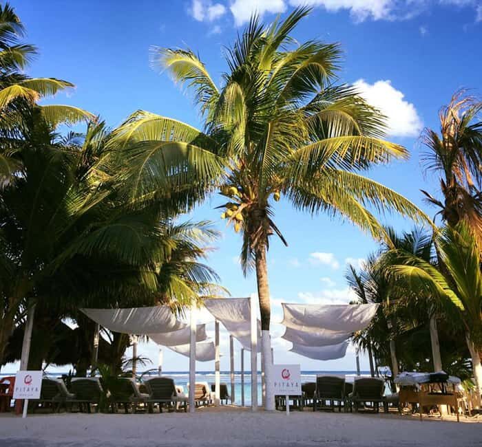 Costa Maya: Beach with Open Bar, Massage, Lunch & Snorkeling - Open bar rules: purified-ice cocktails and craft beer options
