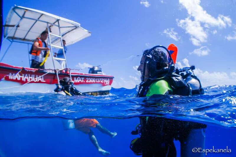 Costa Maya: Discover Scuba Diving Reef Experience - Key things to know before you go