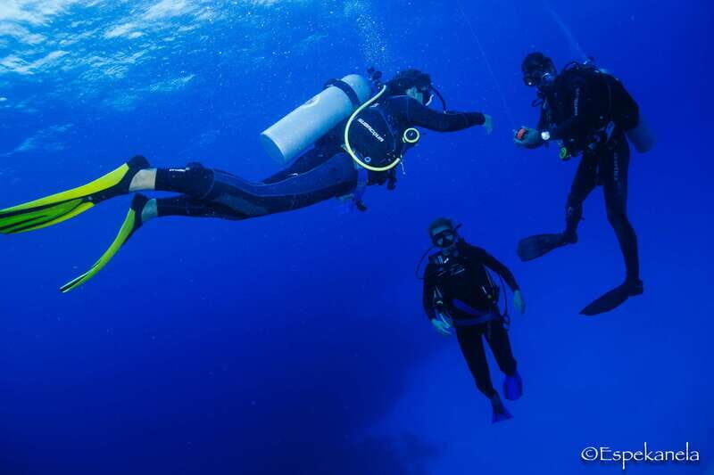 Costa Maya: Discover Scuba Diving Reef Experience - Costa Maya Try Scuba in Mahahual: who it fits best