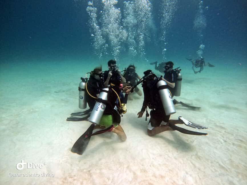 Costa Maya: Discover Scuba Diving Reef Experience - Speedboat out to the reef: your ocean dive time and setup