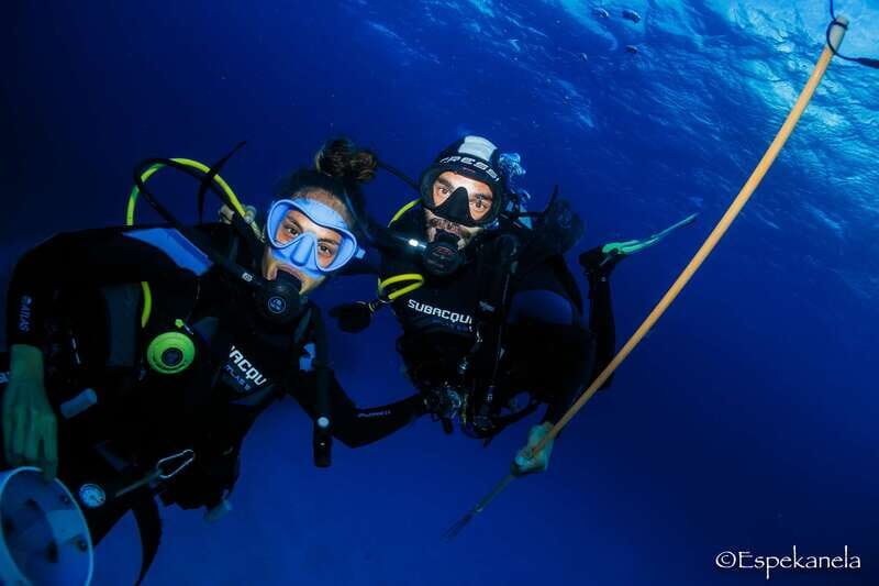 Costa Maya: Discover Scuba Diving Reef Experience - Should you book the Costa Maya Discover Scuba Reef Experience?
