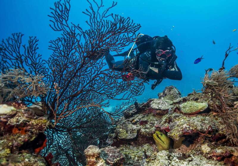 Costa Maya: Two Tank Fun Dive for Certified Divers - Gear, Briefings, and the Team That Keeps It Friendly