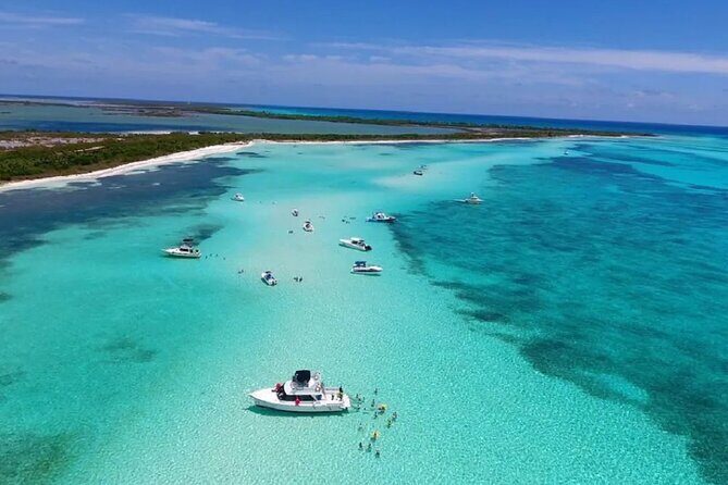 Cozumel 4 Hour Boat Sky Tour - A 4-hour Cozumel reef plan that doesn’t drag