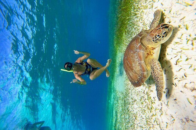 Cozumel 4 Hour Boat Sky Tour - Boat style, meeting point, and how your day will flow