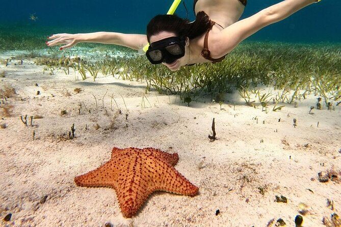 Cozumel 4 Hour Boat Sky Tour - English info and photo add-ons: what to plan for