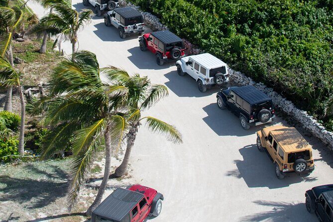Cozumel 4x4 Adventure Punta Sur and Virgin Beach All Inclusive - Guides and the difference they make