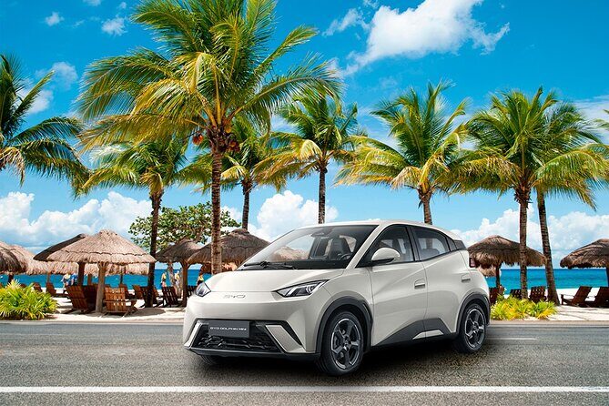 Cozumel Airport to Hotel Private Transfer by Car - Key things to know before you land in Cozumel