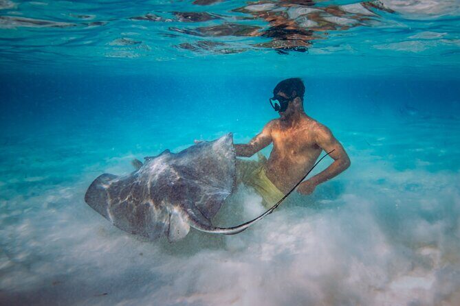 Cozumel All Inclusive: Coast & Relax 4h on 51' Leopard - Snorkeling Gear, SUPs, and Inflatables: Cozumel Water, Your Way