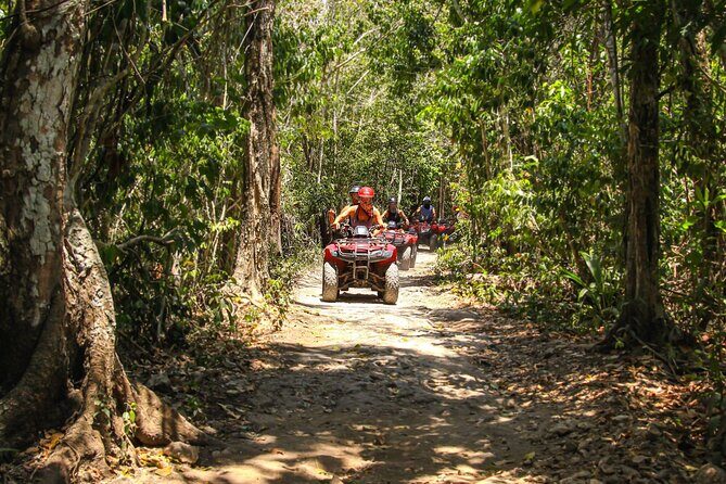 Cozumel ATV Tour & Beach Break - Weather and timing: the schedule you’re really buying