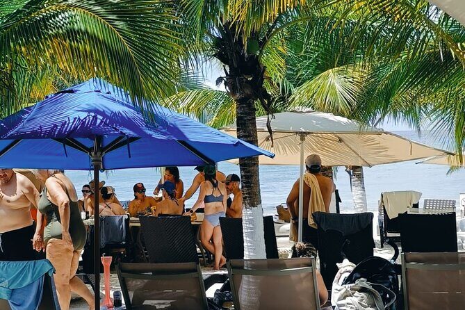 Cozumel Best Spots (Beach-Mayan Park-Downtown) - Timing, Pickup, and Meeting Points Without the Headache