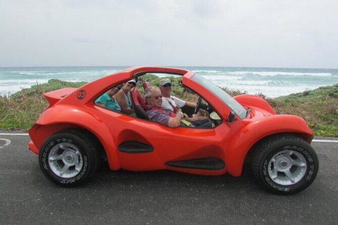 Cozumel Buggy Island Tour, Otoch Mayan Experience & Clear Boat - Weather and safety reality checks (so your day stays smooth)