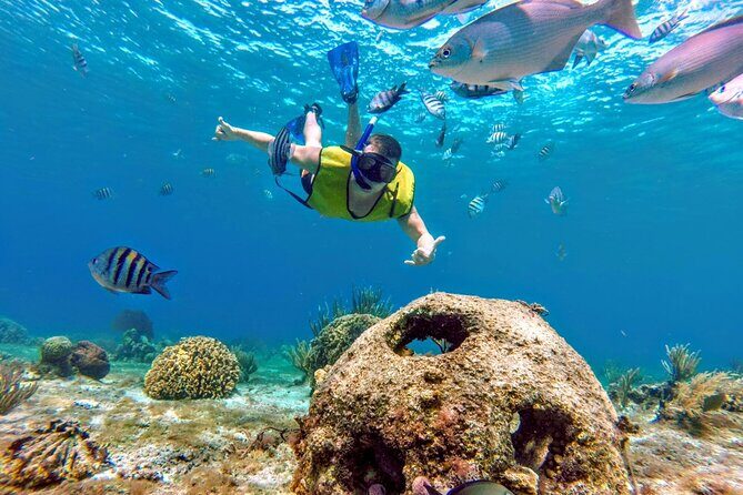 Cozumel by transparent boat and snorkeling in the sky with lunch. - Early Start From Cancun: What the Timing Really Feels Like