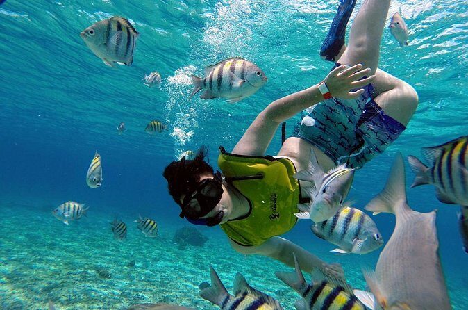 Cozumel by transparent boat and snorkeling in the sky with lunch. - Lunch on Cozumel: One Dish, One Drink, Plus Your Box Lunch