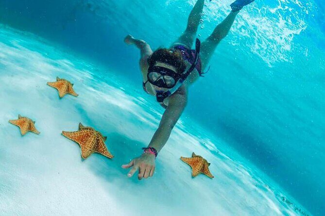 Cozumel by transparent boat and snorkeling in the sky with lunch. - Transparent Boat in Cozumel: Snorkeling Setup with a View