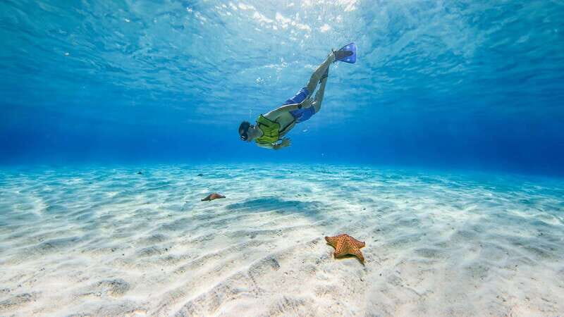 Cozumel: Catamaran, El Cielo Bay & Palancar Reef with Lunch - Key highlights you’ll feel right away
