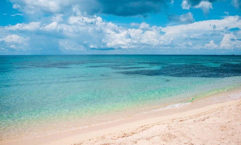 Cozumel: Catamaran, El Cielo Bay & Palancar Reef with Lunch - How El Cielo Bay makes snorkeling easier and more fun
