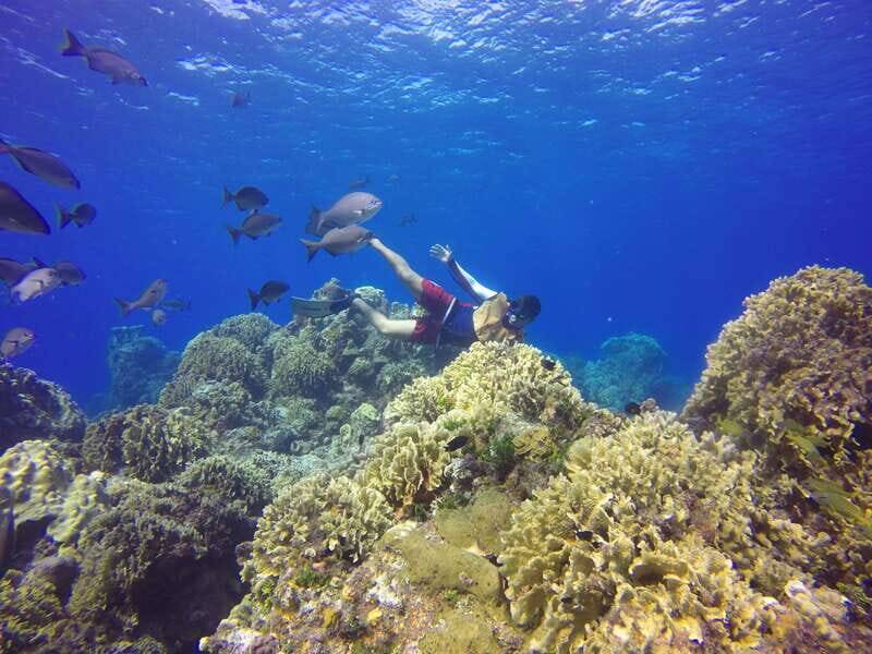 Cozumel: Catamaran, El Cielo Bay & Palancar Reef with Lunch - Playa time and the reality of scheduled water time