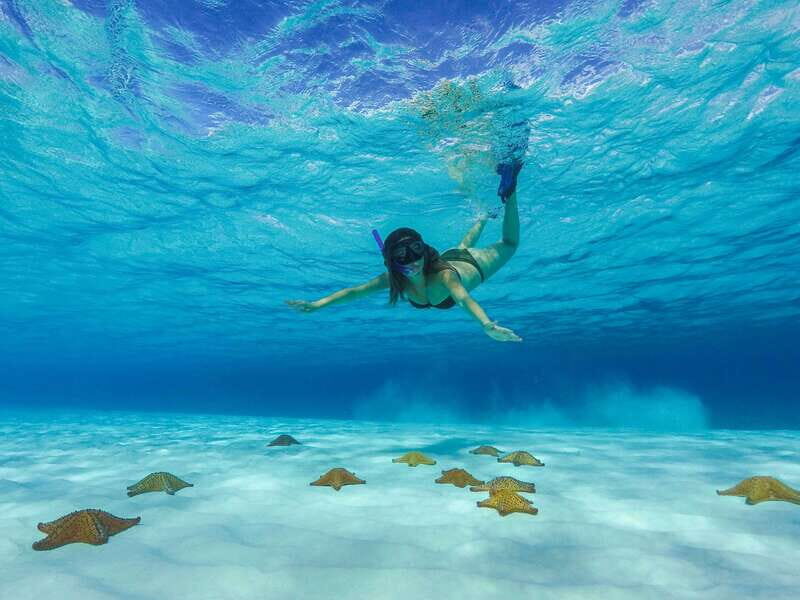 Cozumel: Catamaran, El Cielo Bay & Palancar Reef with Lunch - Price and value: what you’re really paying for at $98
