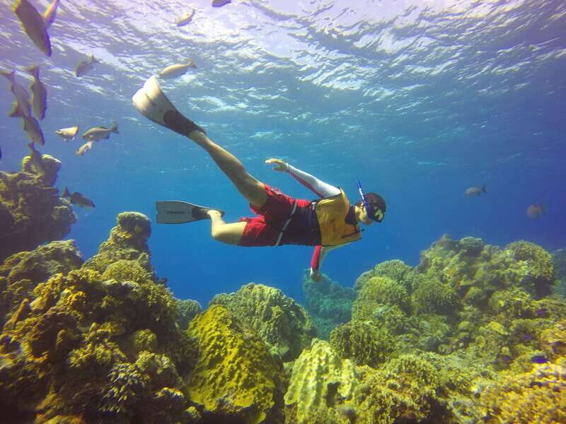 Cozumel: Catamaran, El Cielo Bay & Palancar Reef with Lunch - The catamaran ride: sun, sea air, and built-in drinks