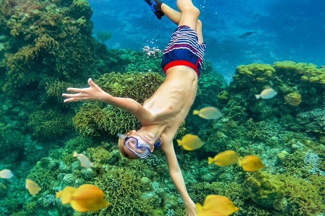 Cozumel Catamaran Experience with Snorkeling & Beach Club - A 5-hour Cozumel catamaran day on the south coast