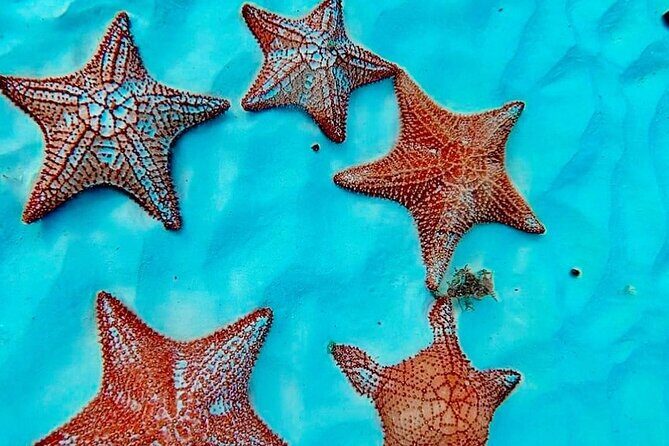 Cozumel Catamaran Fun: Snorkeling, Open Bar & Water Park - Crew, Safety, Music, and the Small Comforts That Add Up