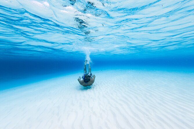 Cozumel Catamaran Snorkeling Tour & lunch - From Playa Mia to the reef: how the day actually plays out