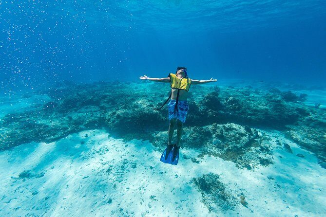 Cozumel Catamaran Snorkeling Tour & lunch - Palancar Reef drift snorkeling: what to expect and how to make it count