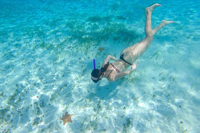 Cozumel Catamaran Snorkeling Tour & lunch - Price and value: the $90 cost plus the $13 marine park fee