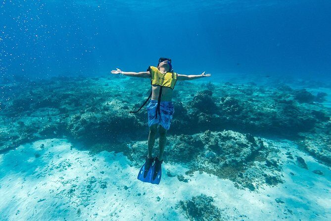 Cozumel Catamaran Snorkeling Tour & Lunch (Hotel Pick Up) - Full-day value: what you’re actually paying for