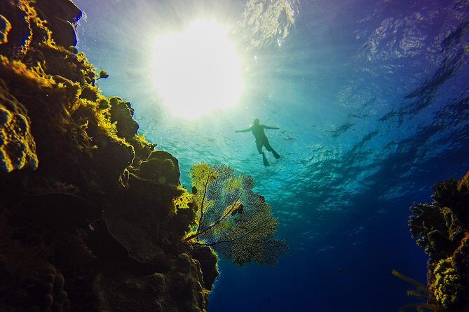 Cozumel Catamaran Snorkeling Tour & Lunch (Hotel Pick Up) - El Cielo time: expect short snorkel windows, not an all-day swim