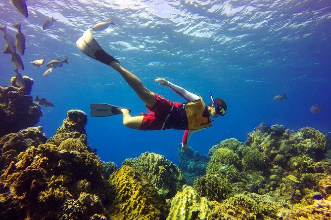 Cozumel Catamaran Snorkeling Tour & Lunch (Hotel Pick Up) - Lunch and drinks: what’s included, when, and what to watch