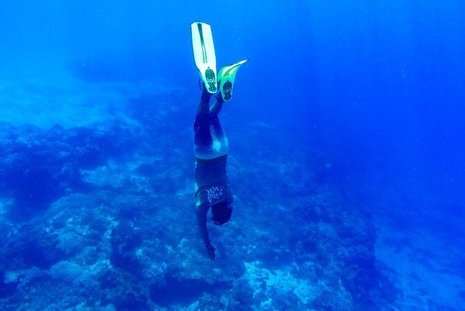 Cozumel Catamaran Snorkeling Tour & Lunch (Hotel Pick Up) - Gear rules: life vest, no sunscreen in the ocean, and what to pack