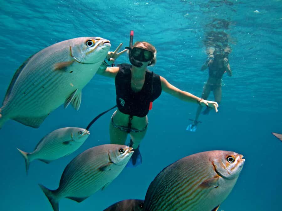 Cozumel: Chankanaab Park Admission+ Snorkel+ Welcome drink - Key highlights at Chankanaab (what matters most)