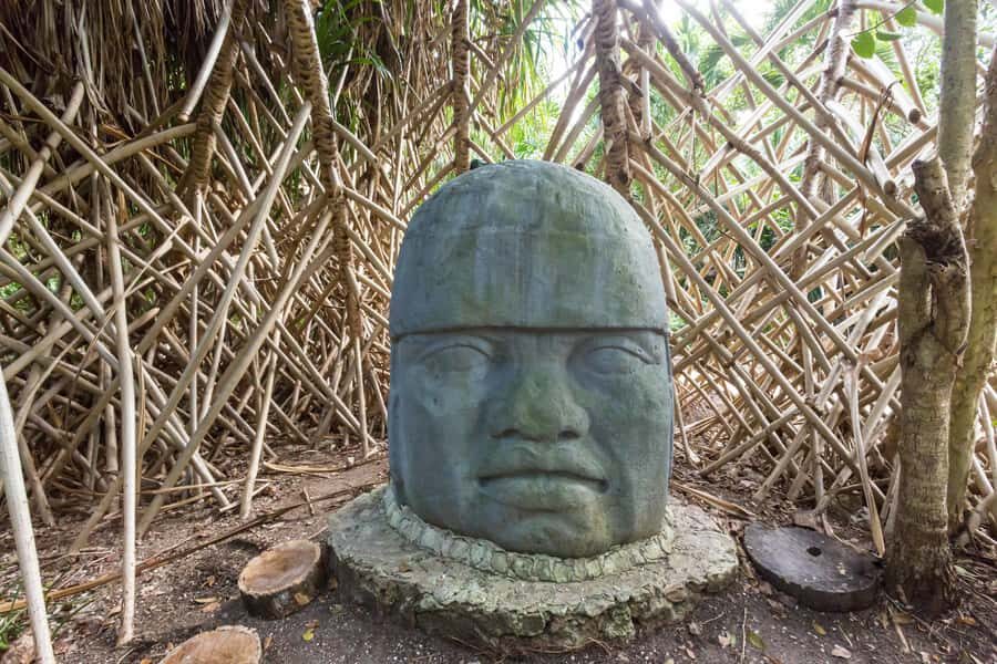 Cozumel: Chankanaab Park Admission+ Snorkel+ Welcome drink - Price and value: what $33 covers, what costs extra, and where it feels fair