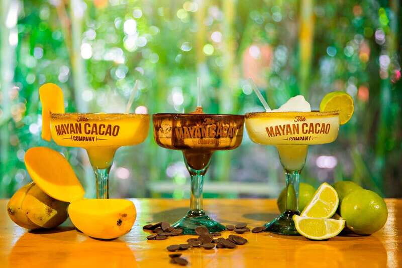 Cozumel: Chocolate Margarita Workshop with Mayan Recipe - The Mayan Cacao Company Experience: History Meets Real Ingredients