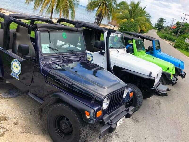 Cozumel: Classic Jeep or Buggy Island Tour to Punta Sur - Key highlights you’ll care about
