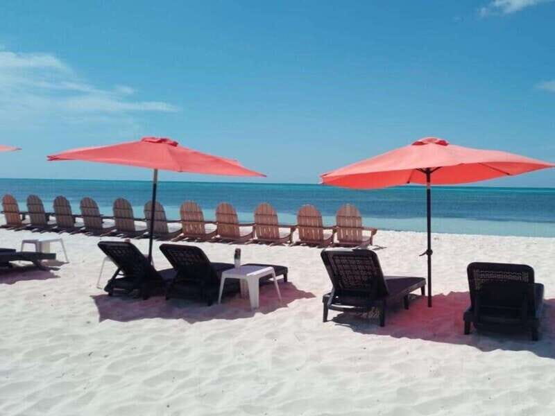 Cozumel: Classic Jeep or Buggy Island Tour to Punta Sur - Punta Sur Beach snorkeling: shore access, full gear, and a reality check