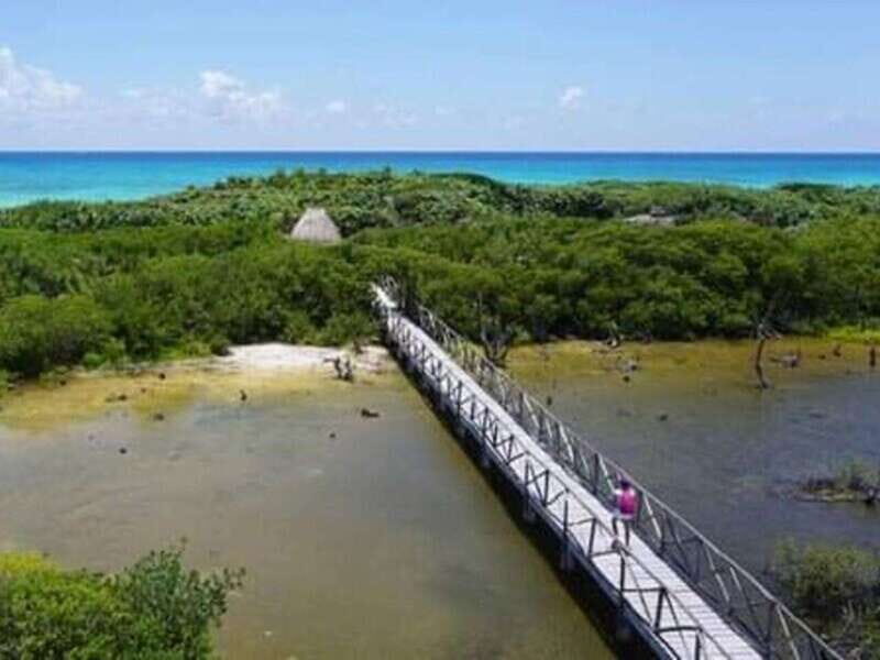 Cozumel: Classic Jeep or Buggy Island Tour to Punta Sur - Uvas Beach Club lunch: sea-facing and easy Mexican choices