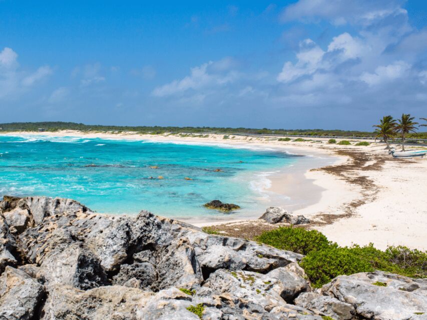 Cozumel: Classic Jeep or Buggy Island Tour to Punta Sur - Tequila tasting and bottled water: small extras that change the vibe
