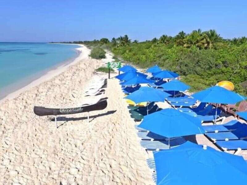 Cozumel: Classic Jeep or Buggy Island Tour to Punta Sur - Price of $119: what you really get for the money