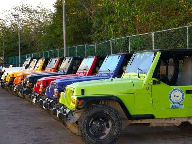 Cozumel: Classic Jeep or Buggy Island Tour to Punta Sur - Manual transmission and the small-group setup that keeps it fun